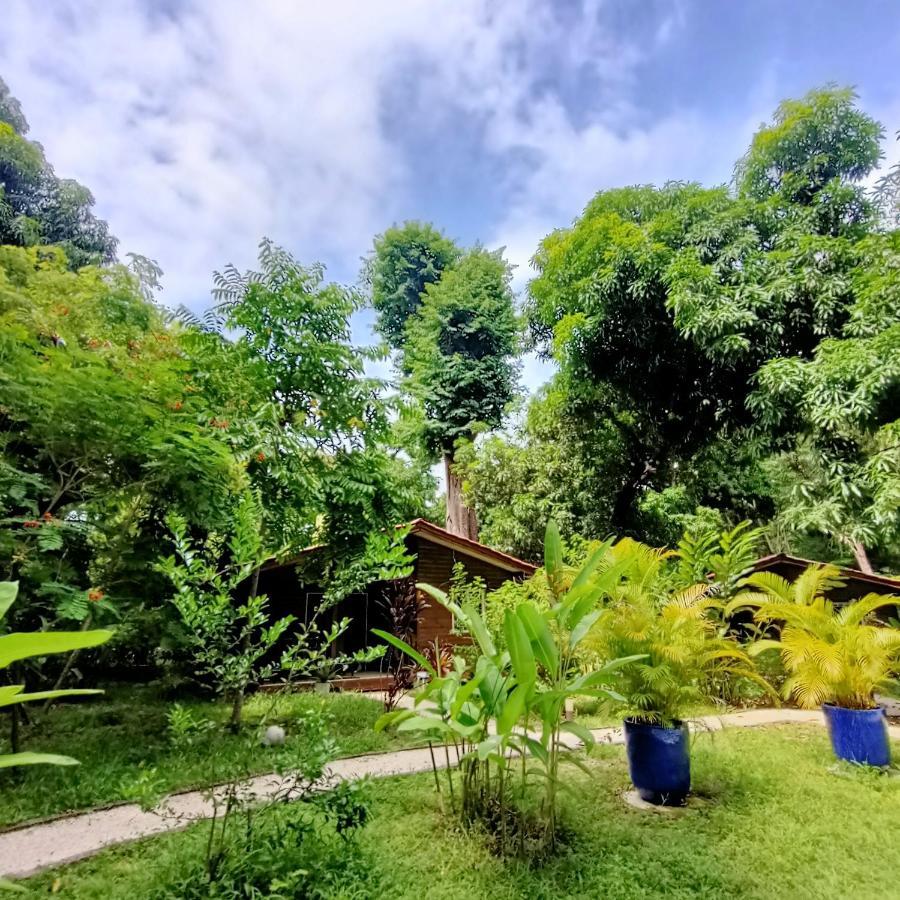 Boho Lodge Montezuma L&L Ngoại thất bức ảnh